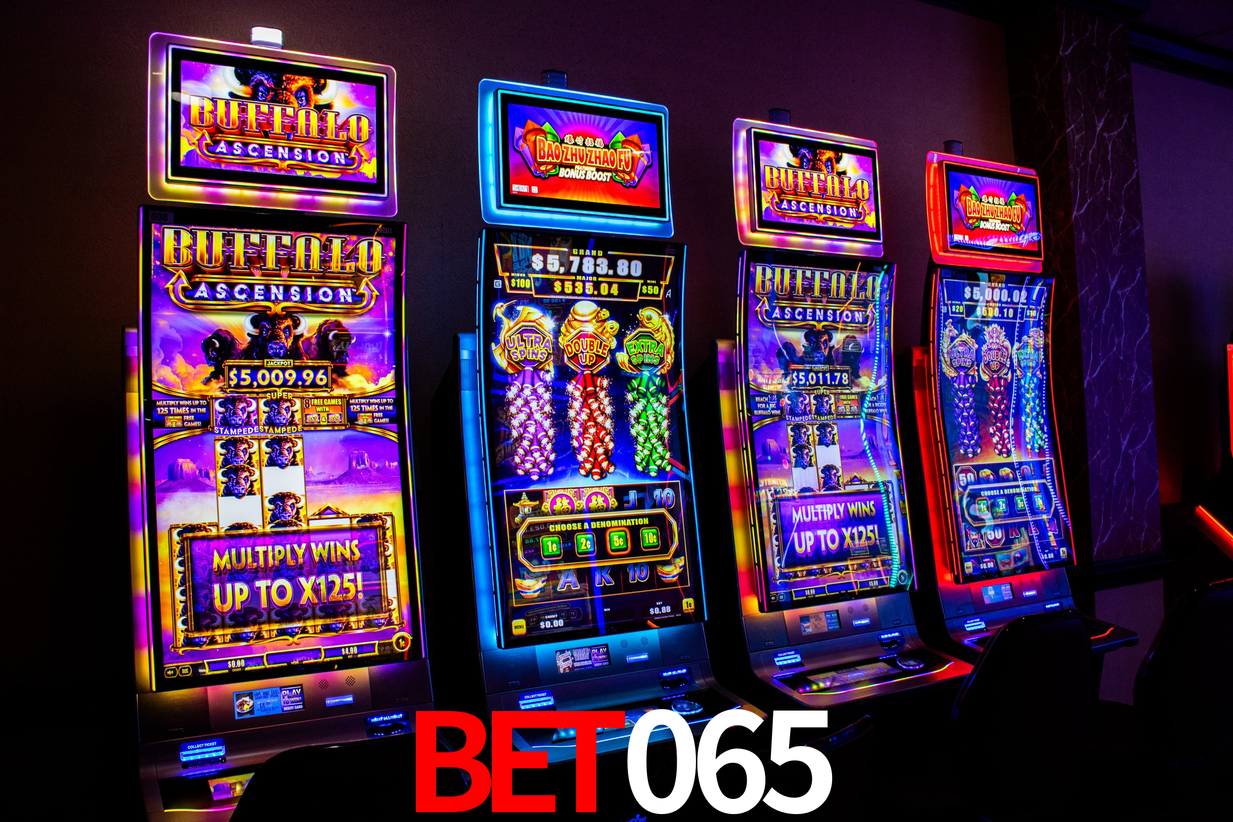 Bonus Features bet065
