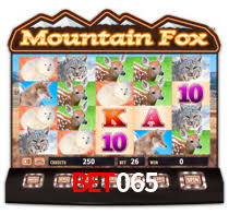 bet065,bet065.com